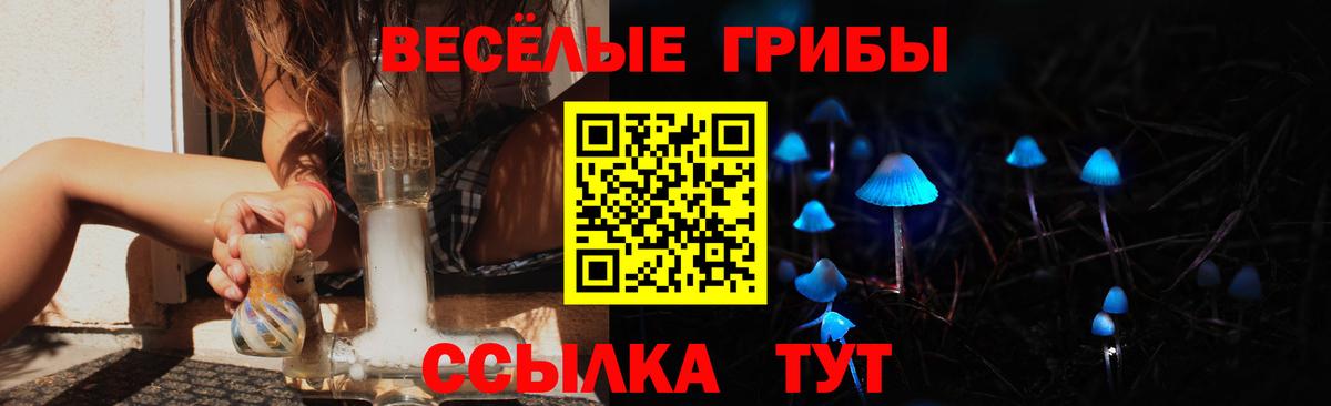 Берёзовский  Псилоцибиновые грибы MAGIC MUSHROOMS  Вход с VPN 